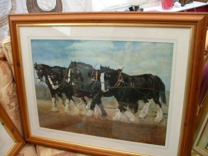 Shire horses picture