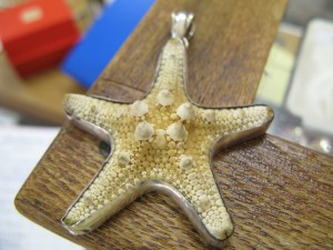 A starfish pendant mounted in silvered