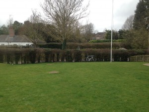 The Itchen Abbas Village Hall - Road side hedge