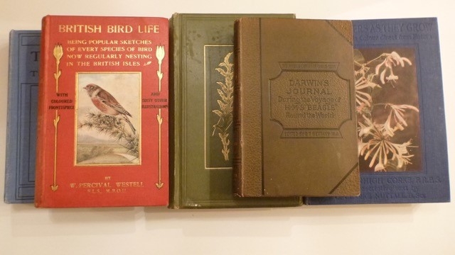 Two Antique Bird Books, Two Antique Wild Flower books and "Darwins Journal of a voyage around the world" - 1890 edition