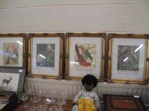 Lot 11 - Four prints of exotic birds - Sold for £35