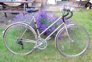 23" Raleigh Medale Ladies' frame