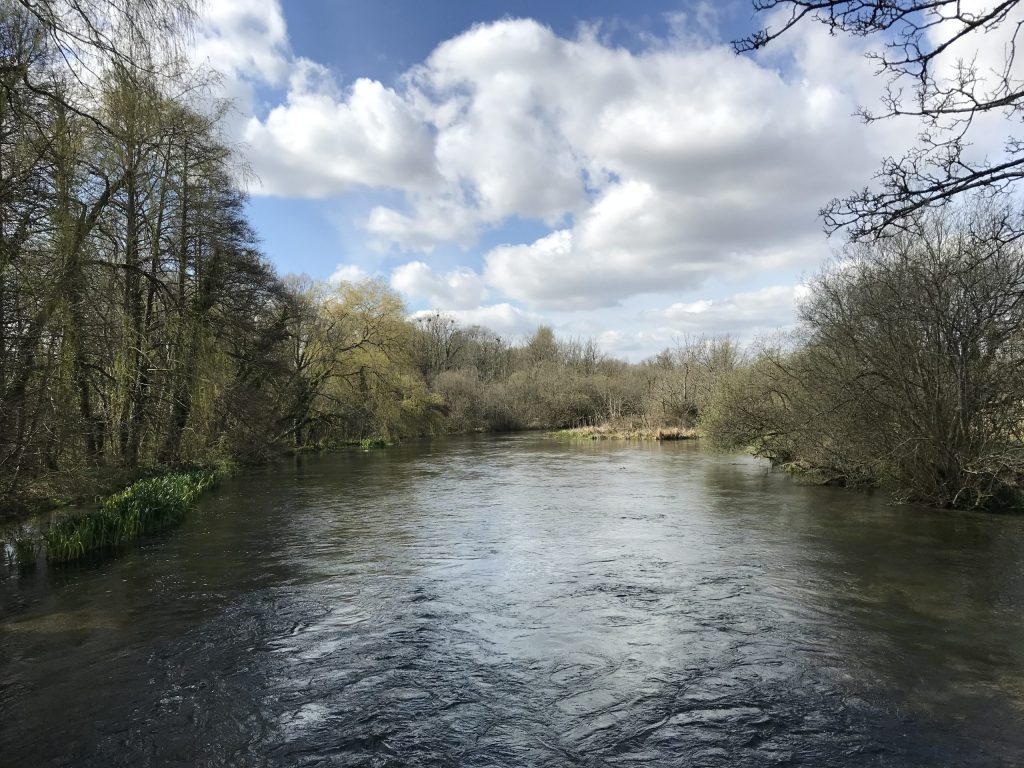 The River Itchen at Itchen Stoke