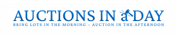 Auctions in a Day