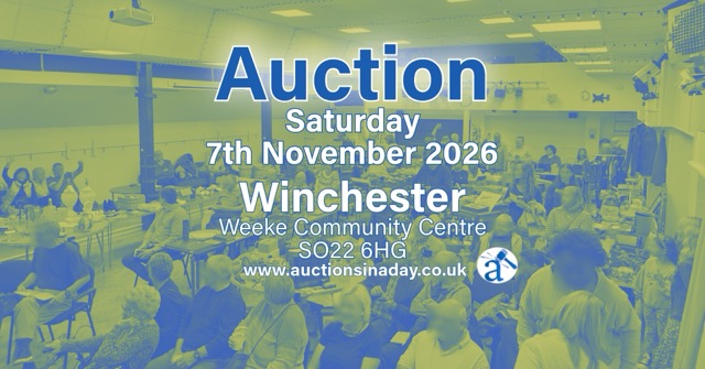 AuctionsInaDay-20261107