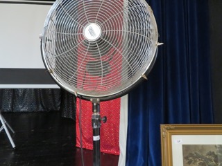 Large Fan sold for £25